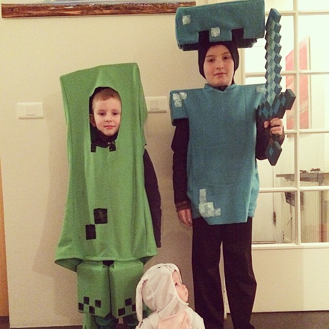 Minecraft costumes Nordic Mum