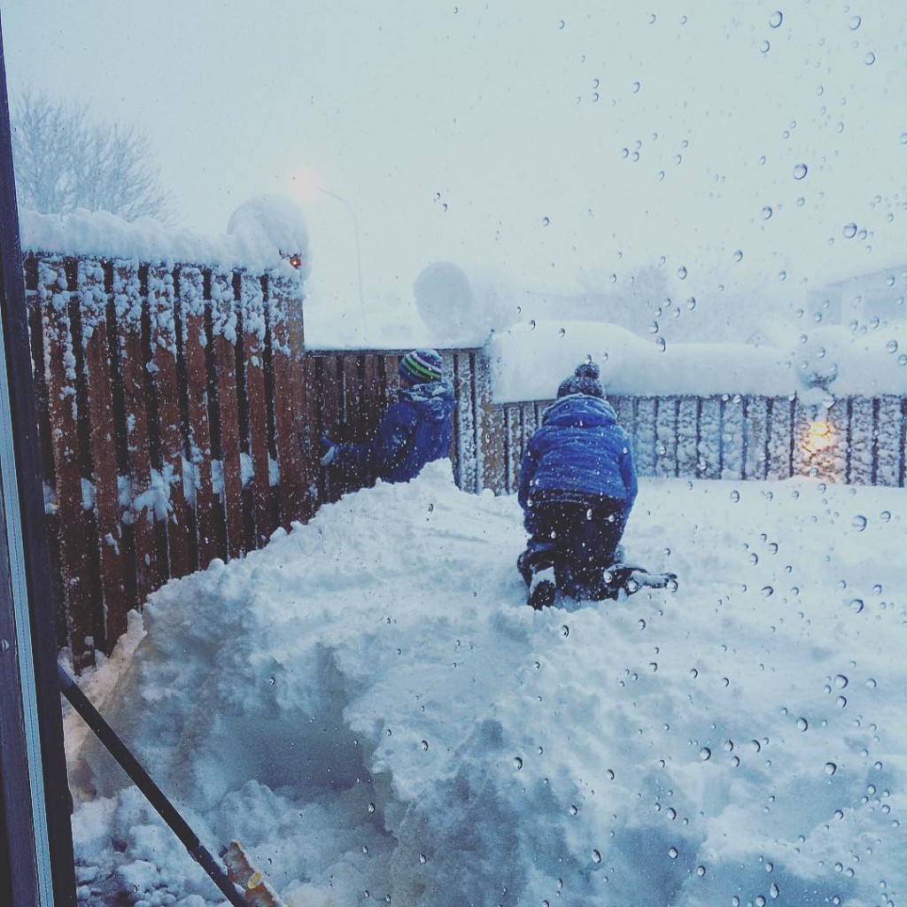 Playing and digging in the snow today